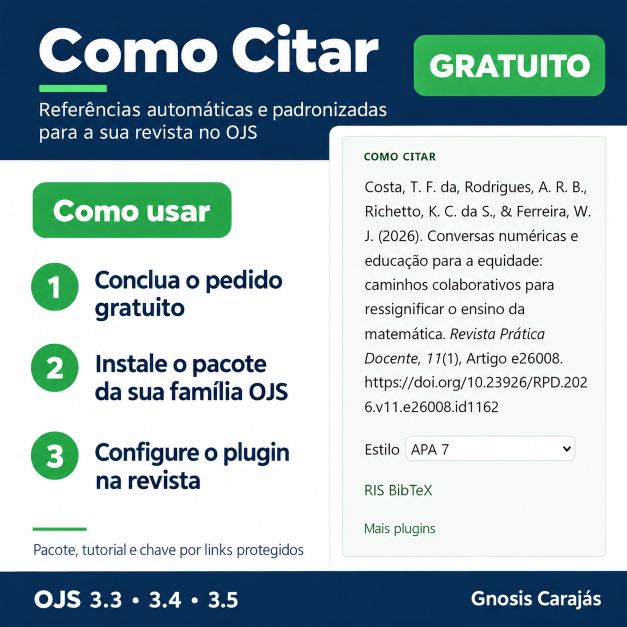Plugin Como Citar para OJS - imagem 3